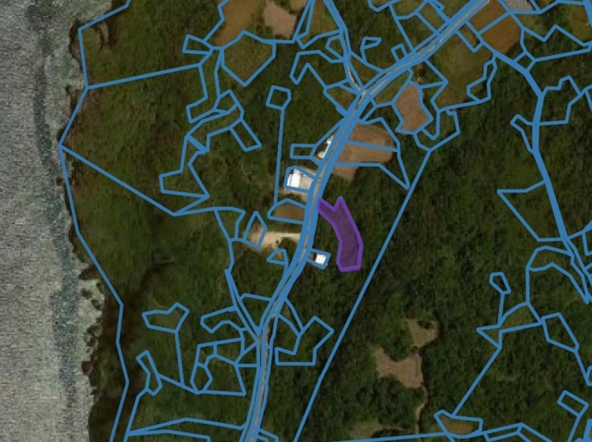 古宇利島土地／樹木伐採後更地渡し